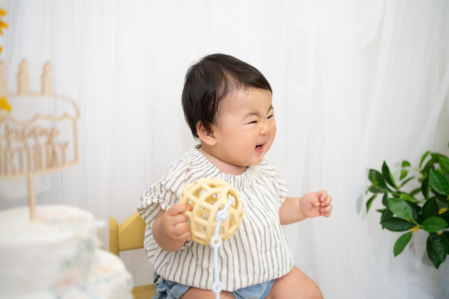 港区 六本木 スタジオ バースデーフォト